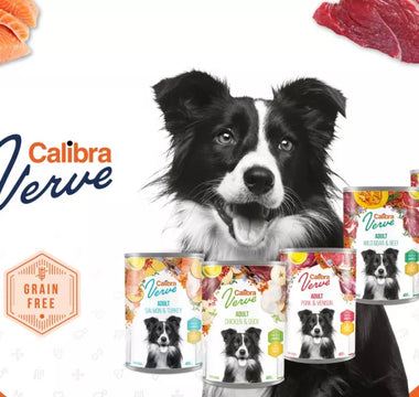 New Calibra Dog Verve canned food