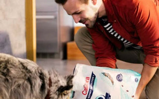A man feeding a dog Calibra dog food