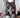 Indoor Cat Nutrition: Keeping Indoor Cats Lean, Active and Stimulated