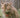 Senior Cat Nutrition: Appetite Changes and Supporting Kidney Health