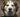 Dog smiling with eyes closed