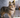 What Food Can I Give my Dog With Arthritis?