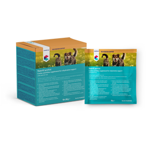 CVET Oral Rehydration Sachets 30g 10pk