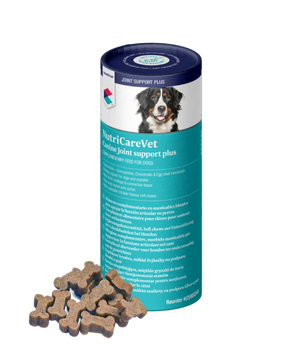 CVET NutriCareVet Canine Joint Support Soft Chew 60pk