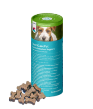 CVET NutriCareVet Canine Intestinal Support Soft Chew 60pk