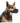 BUSTER Nylon Muzzle