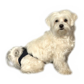 BUSTER Sanitary Pants